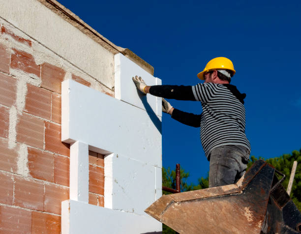 Best Insulation Maintenance and Repair in Fairview Shores, FL