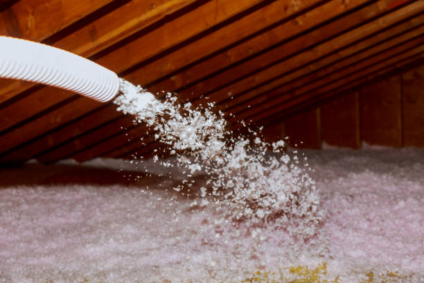  Fairview Shores, FL Insulation Contractor Pros
